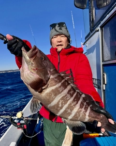 マハタの釣果