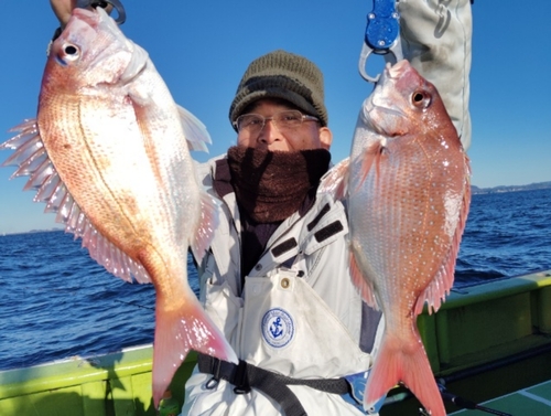 マダイの釣果