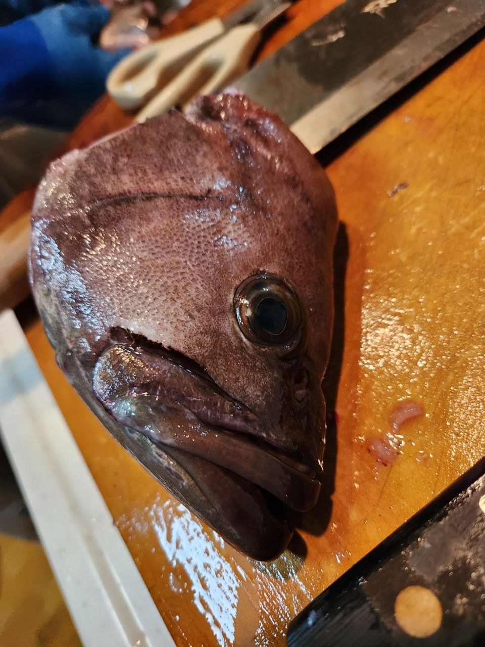 那須の釣り人さんの釣果 3枚目の画像