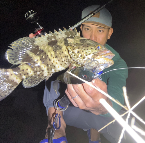 ヤイトハタの釣果