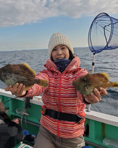 カワハギの釣果