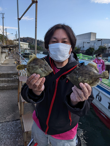 カワハギの釣果