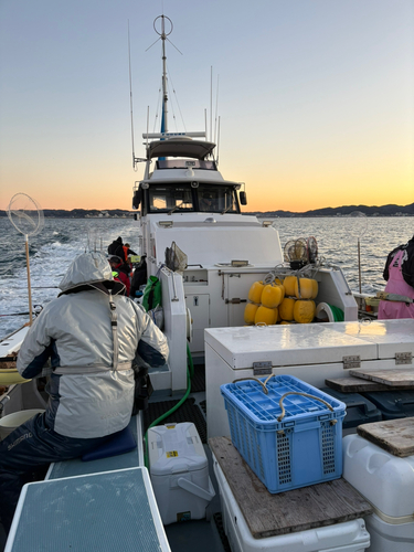 マアジの釣果