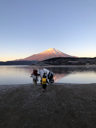 ワカサギの釣果