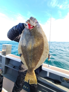 ヒラメの釣果