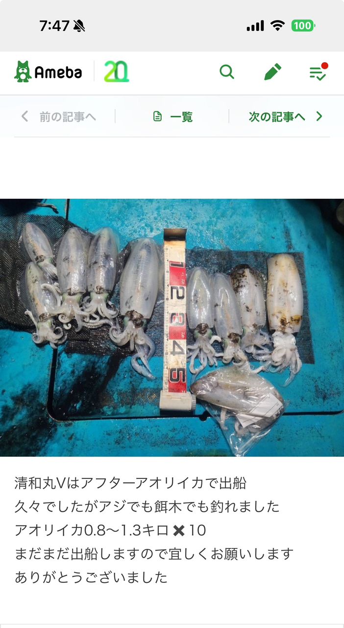 清和丸さんの釣果 3枚目の画像