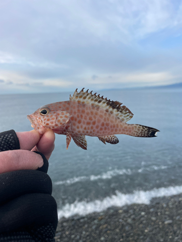 片浜海岸