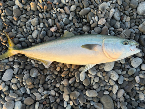 煙樹ヶ浜