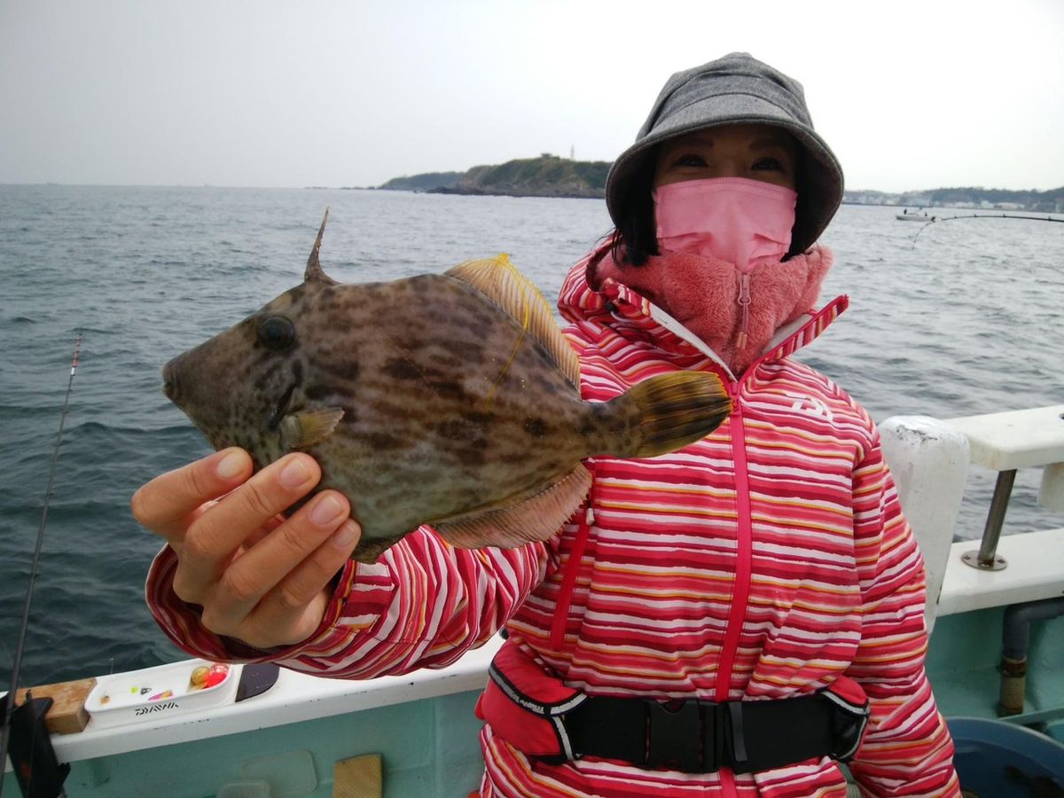 あつんどさんの釣果 2枚目の画像