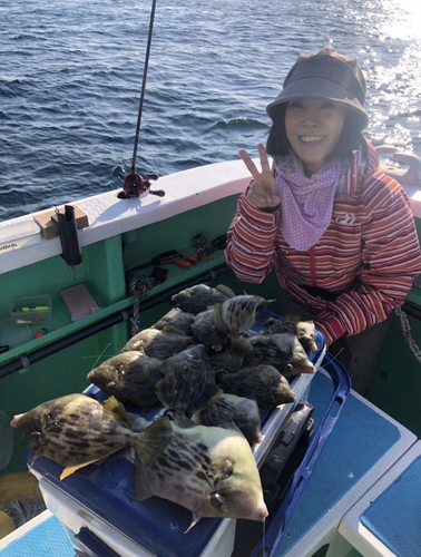 カワハギの釣果