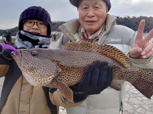 オオモンハタの釣果