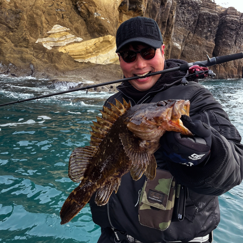 タケノコメバルの釣果