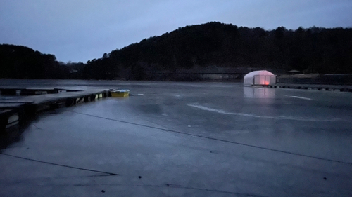 ワカサギの釣果