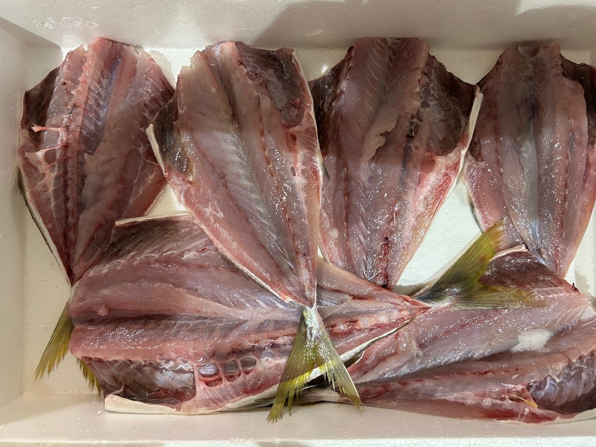 洋平たんさんの釣果 3枚目の画像