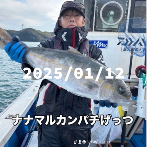 カンパチの釣果