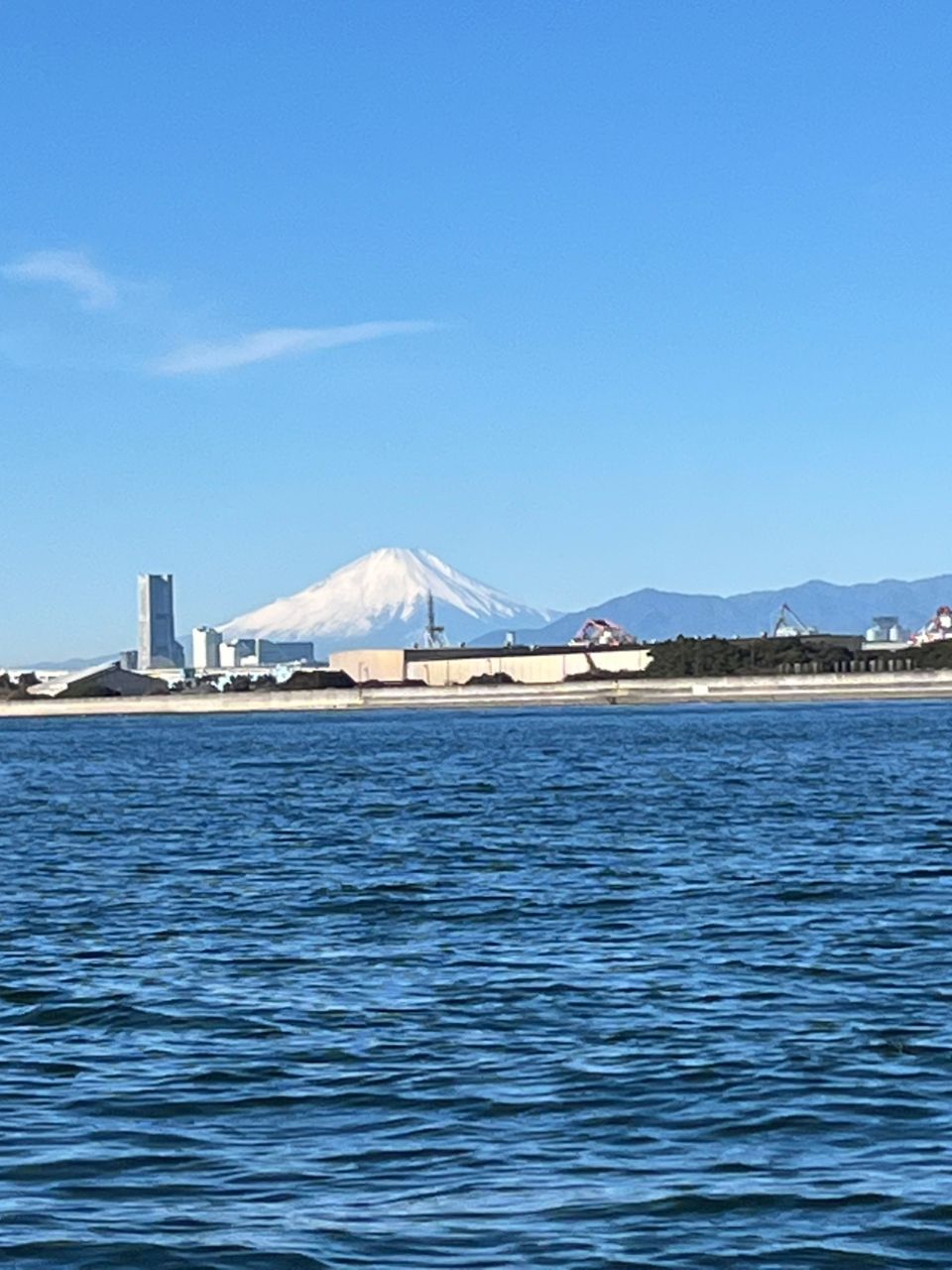 素敵な叔父様さんの釣果 3枚目の画像