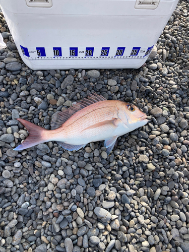 煙樹ヶ浜