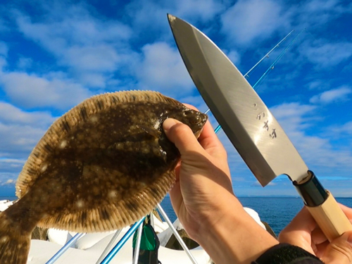 クロガシラガレイの釣果