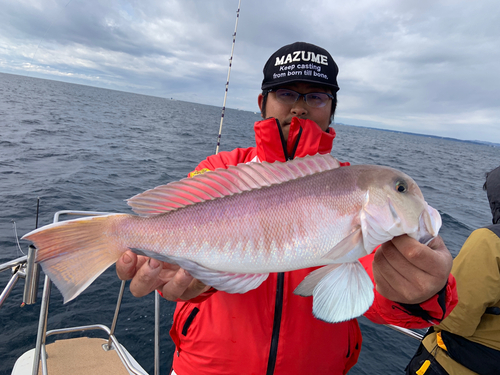 シロアマダイの釣果