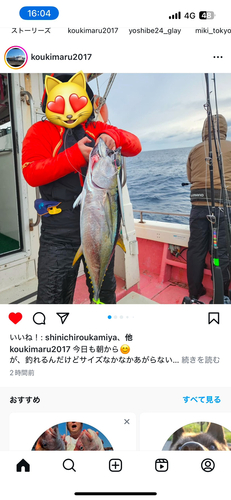 キハダマグロの釣果