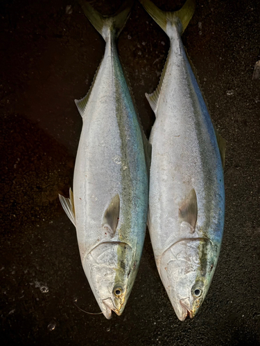 江ノ島裏磯