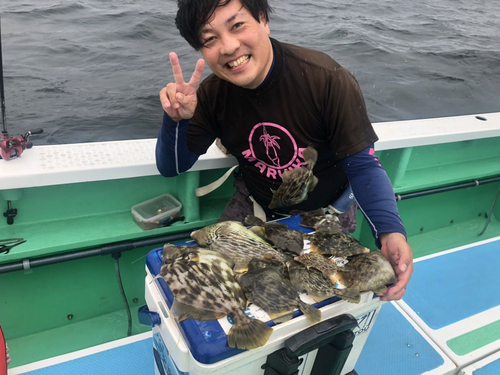 カワハギの釣果