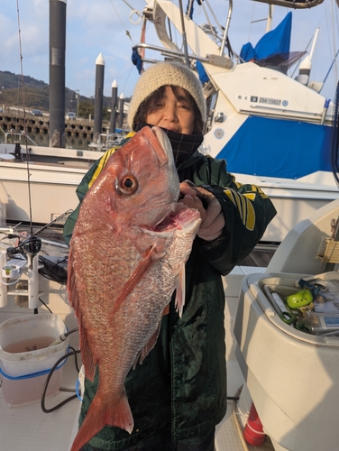 タイの釣果