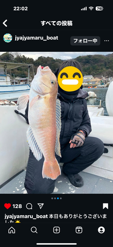 シロアマダイの釣果