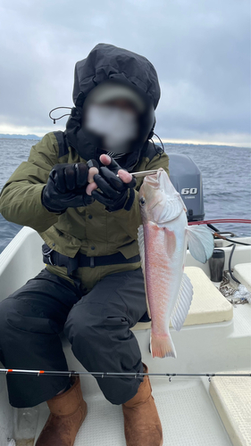 シロアマダイの釣果