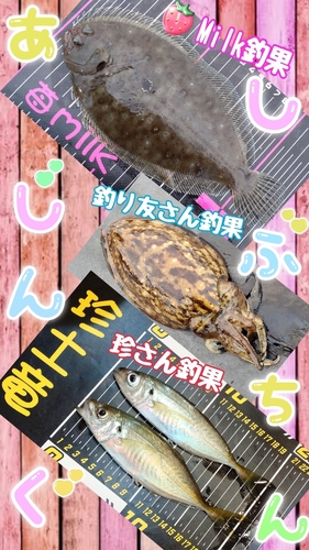 ガンゾウビラメの釣果