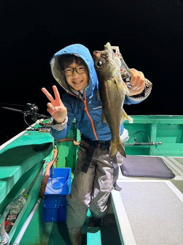 ヤリイカの釣果