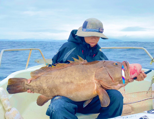 クエの釣果