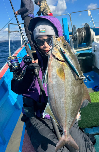 ヒレナガカンパチの釣果