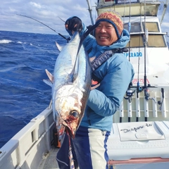 ビンチョウマグロの釣果