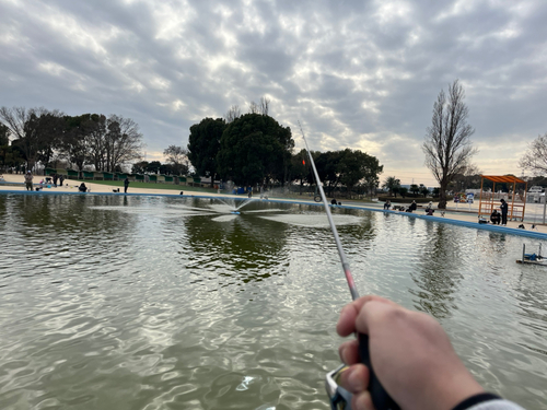 トラウトの釣果