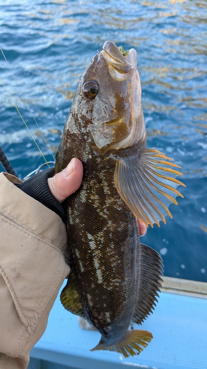 ぱらぱらフィッシュさんの釣果 2枚目の画像