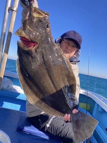 ヒラメの釣果