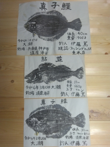 釣果