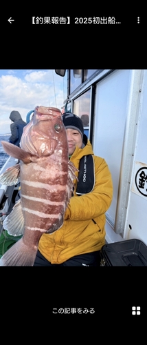 ハタの釣果