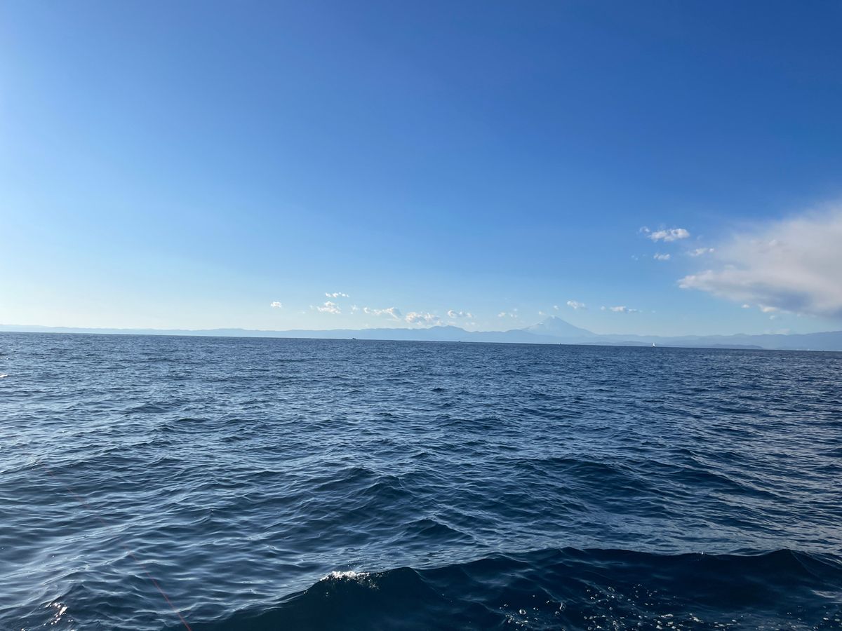 逃がした魚は大きいよね🐟さんの釣果 2枚目の画像