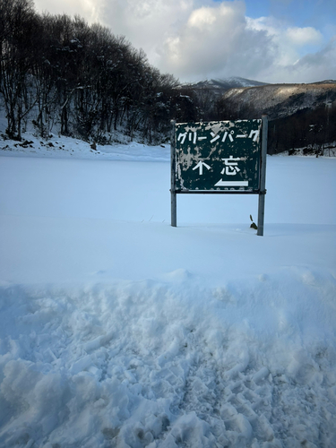 トラウトの釣果