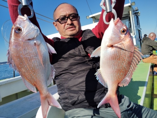 マダイの釣果