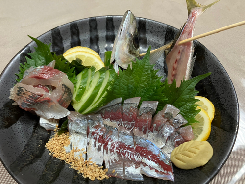 アジの釣果