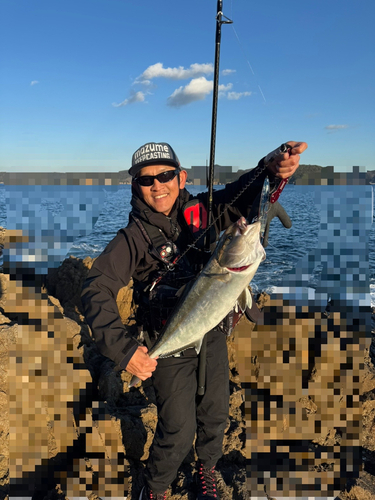 カンパチの釣果