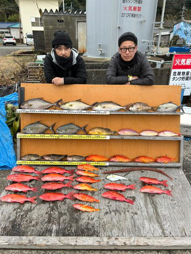 シオの釣果