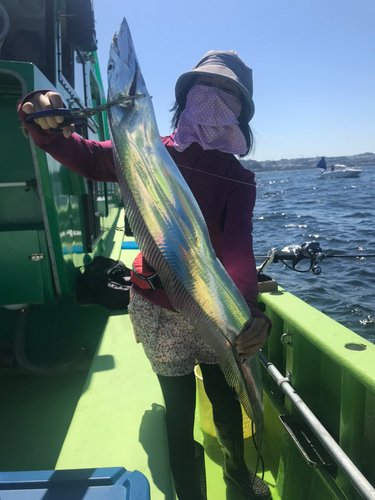 タチウオの釣果