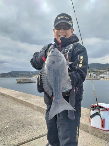 クチブトグレの釣果