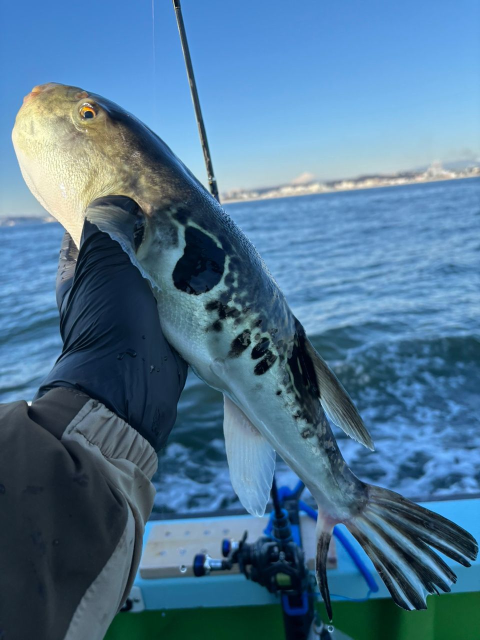 アキ130さんの釣果 1枚目の画像