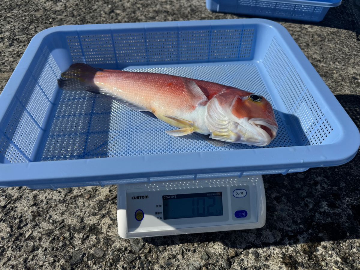 358丸さんの釣果 3枚目の画像