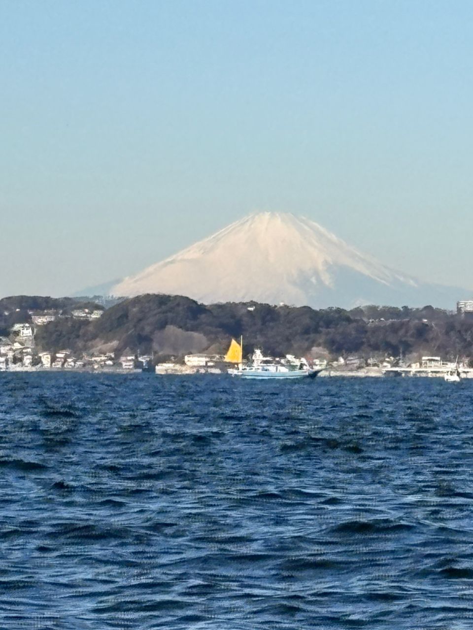 P-まっつさんの釣果 3枚目の画像